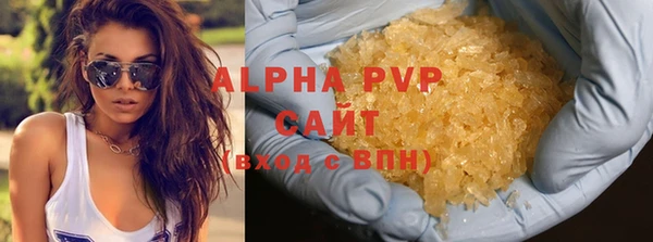 молекула духа Новокубанск