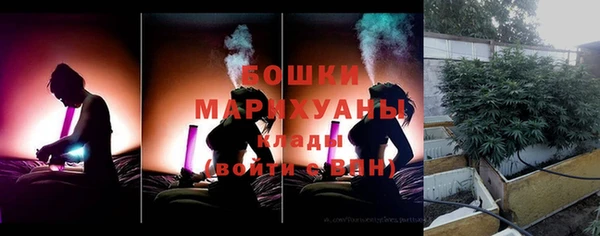 молекула духа Новокубанск
