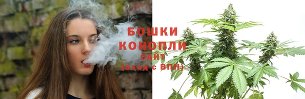 молекула духа Новокубанск