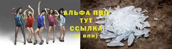скорость Новозыбков