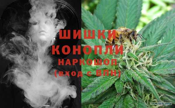 скорость Новозыбков