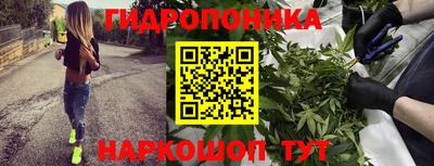 гидра Будённовск