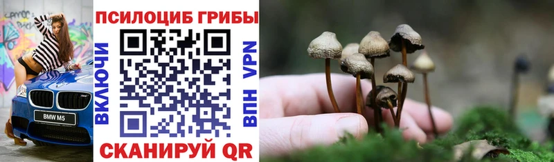 кракен ССЫЛКА Коряжма Псилоцибиновые грибы ЛСД купить наркоту