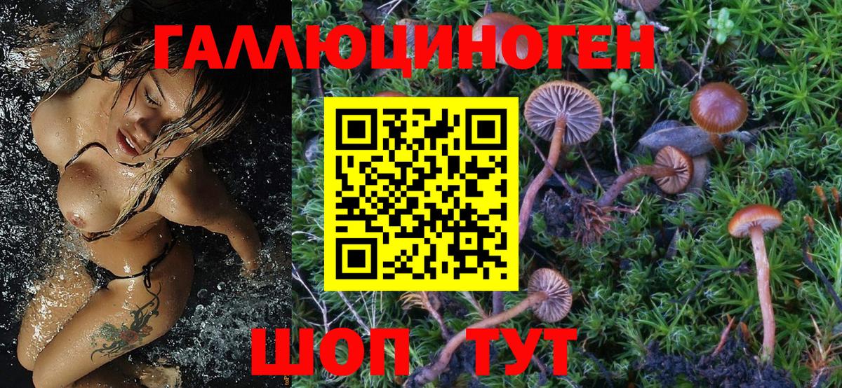 Галлюциногенные грибы Cubensis  Коряжма 