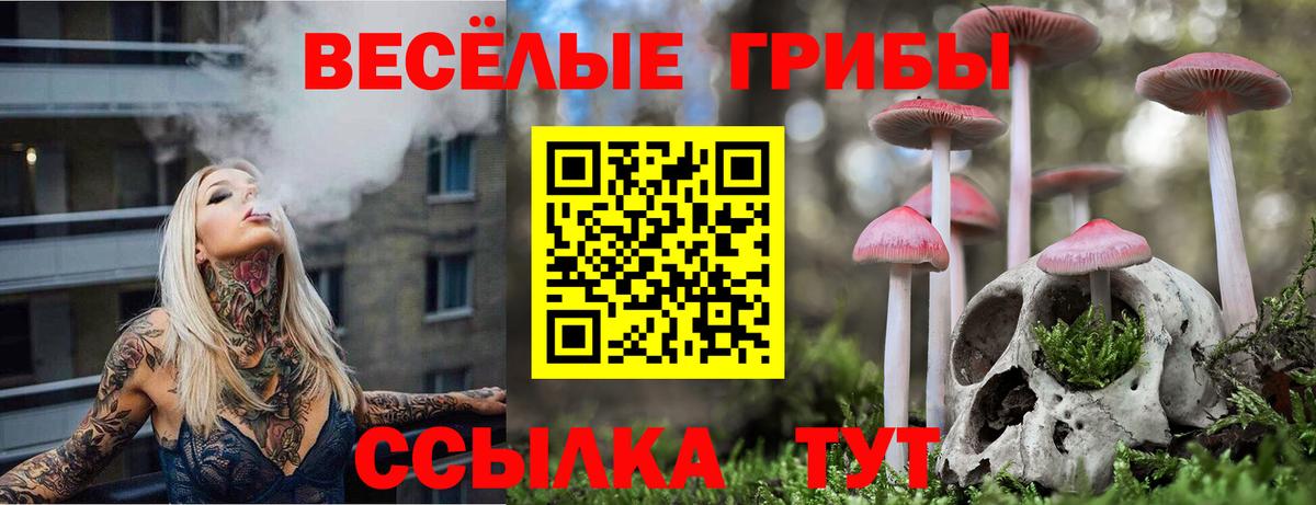 Псилоцибиновые грибы Magic Shrooms Коряжма