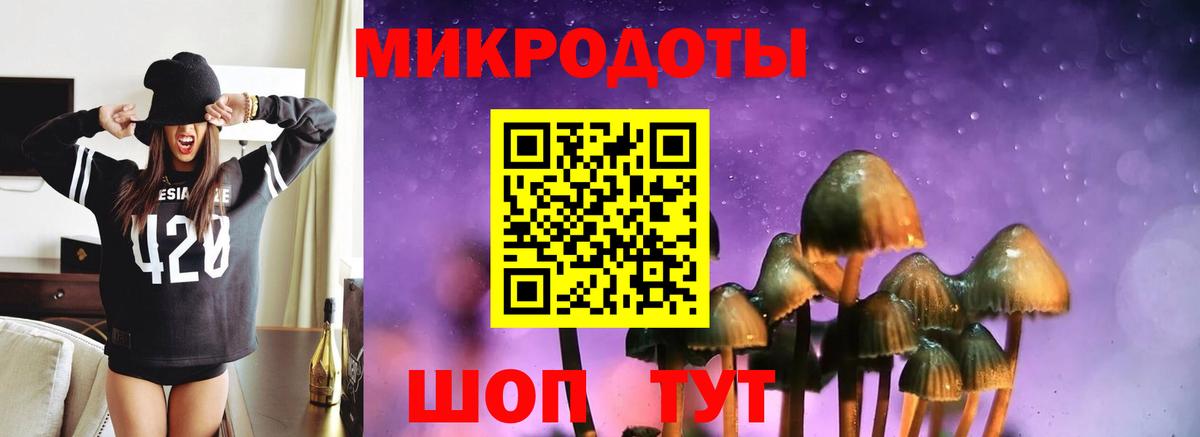 Псилоцибиновые грибы Psilocybe Коряжма